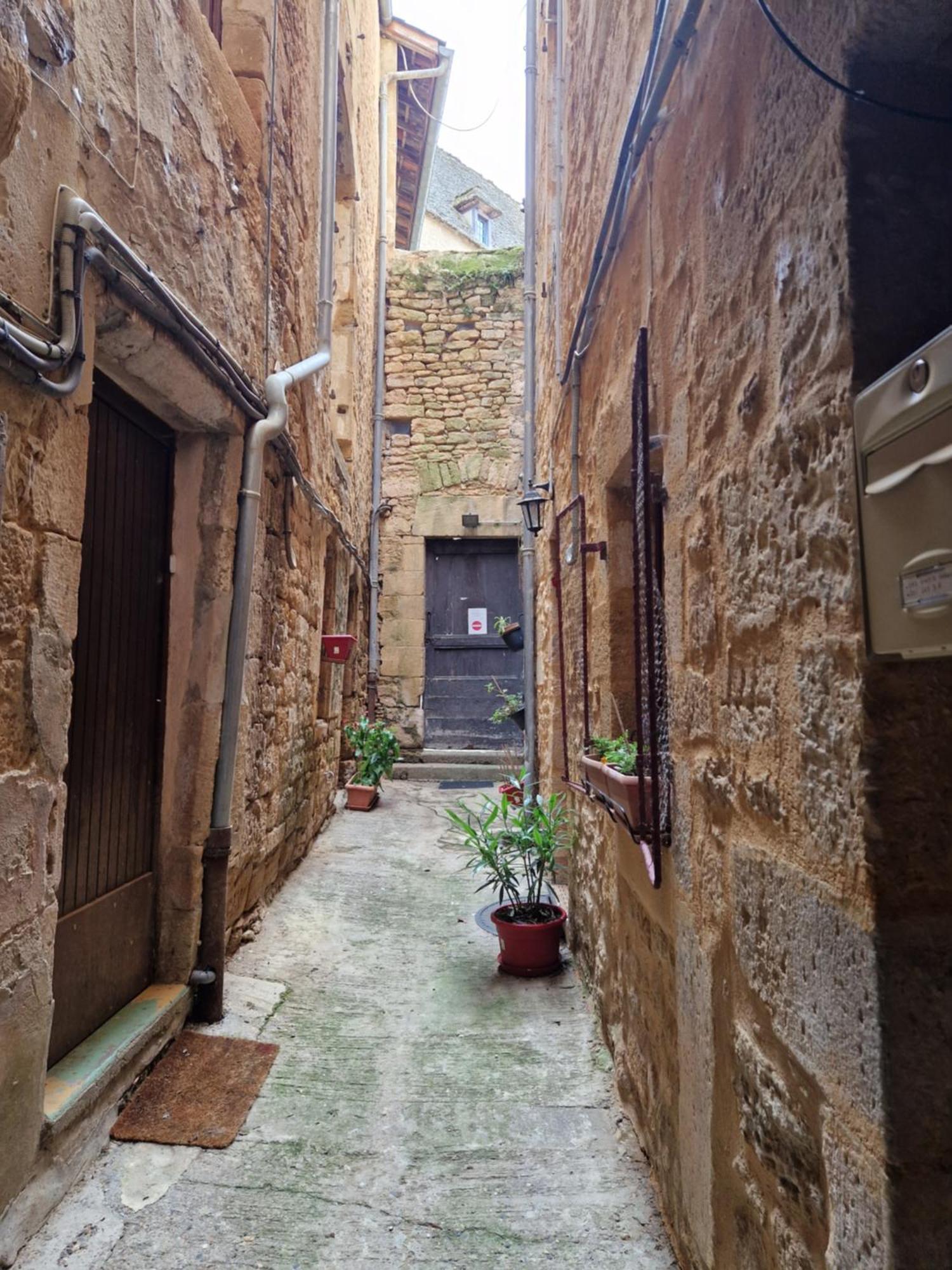 Les Flamboyants Daire Sarlat-la-Canéda Dış mekan fotoğraf